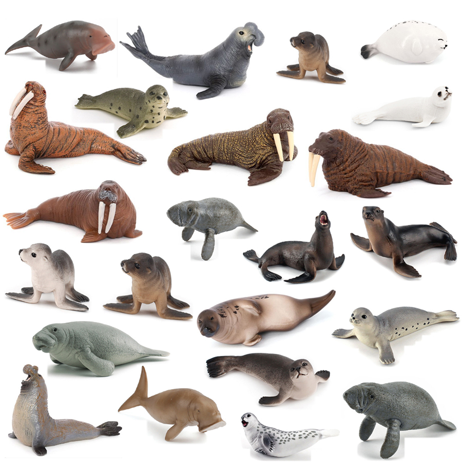 Kids Educational Game - Modelos Realistas de Animais Marinhos: Dugong,