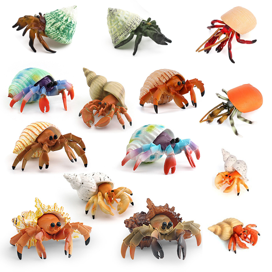 Kids Educational Game - Figurinha Realista de Caranguejo Ermitão, Modelo