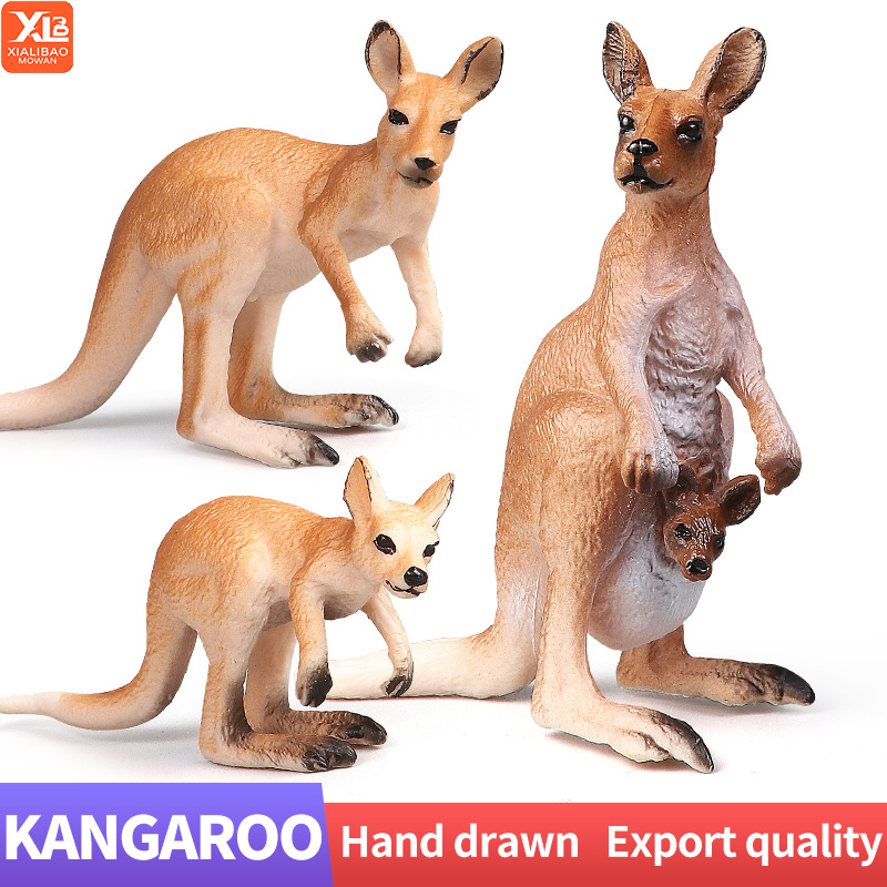 Kangaroo Kids Education - Novo conjunto de canguru do mundo