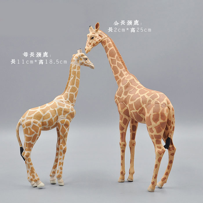 Kangaroo Kids Education - Simulação animais modelo de brinquedo animais