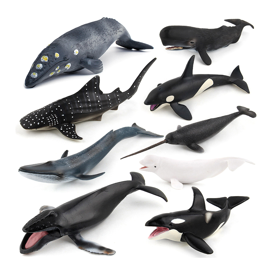 Modelos Realistas de Animais M - Kids Educational Game avaliação e preço