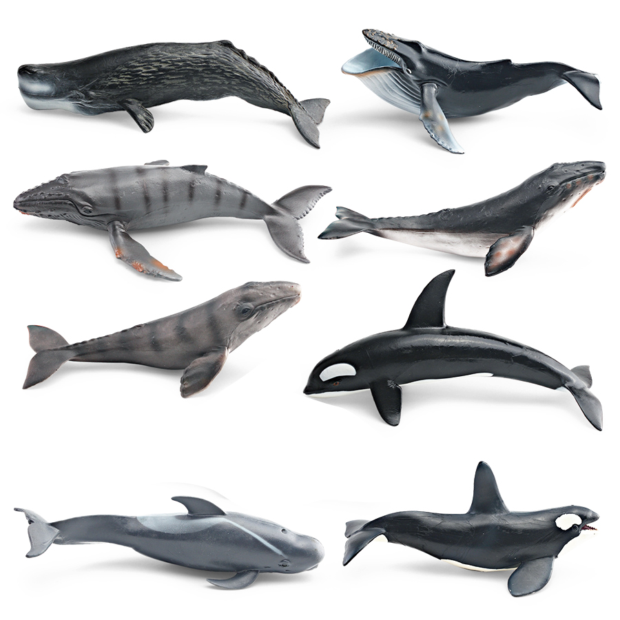 Modelos Realistas de Animais M - Kids Educational Game avaliação e preço