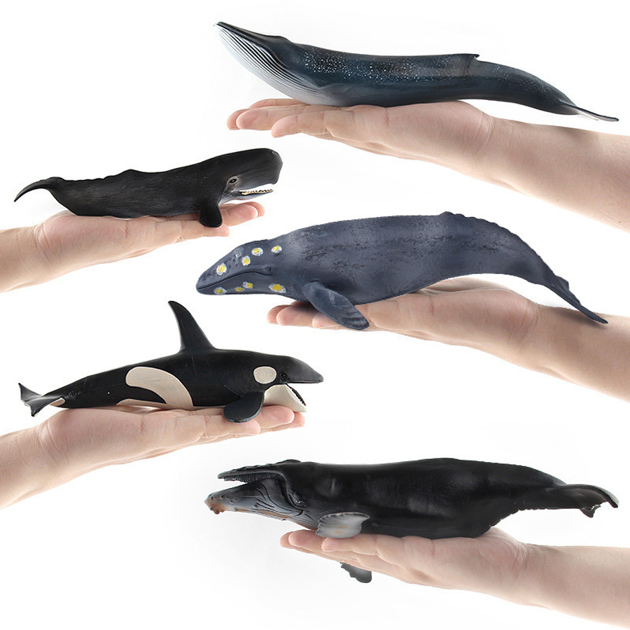 Modelos Realistas de Animais M - Kids Educational Game avaliação e preço
