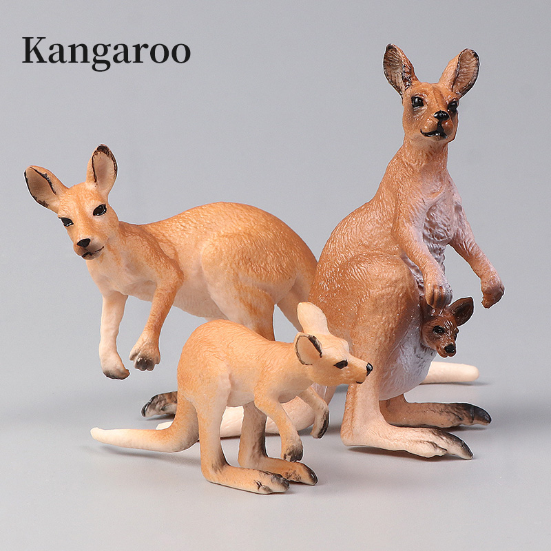 Novo conjunto de canguru do mu - Kangaroo Kids Education avaliação e preço
