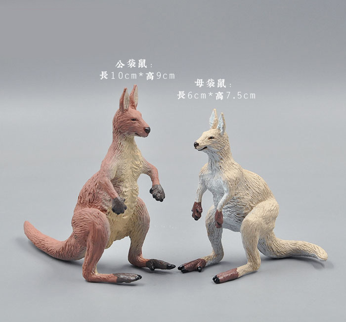 Simulação animais modelo de br - Kangaroo Kids Education avaliação e preço