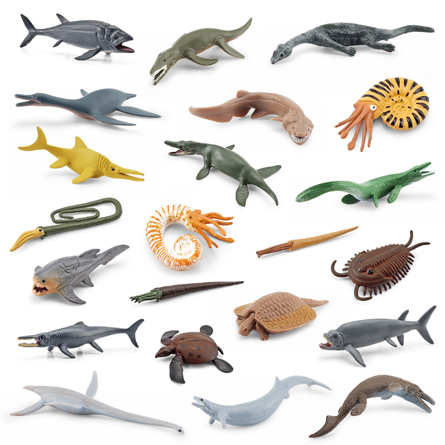 Modelo Realista de Animal Mari - Kids Educational Game avaliação e preço
