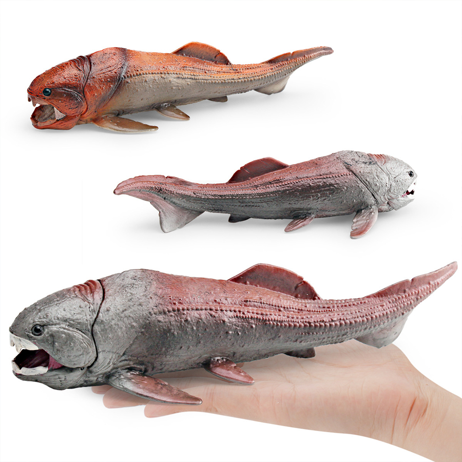 Modelo Realista de Animal Mari - Kids Educational Game avaliação e preço