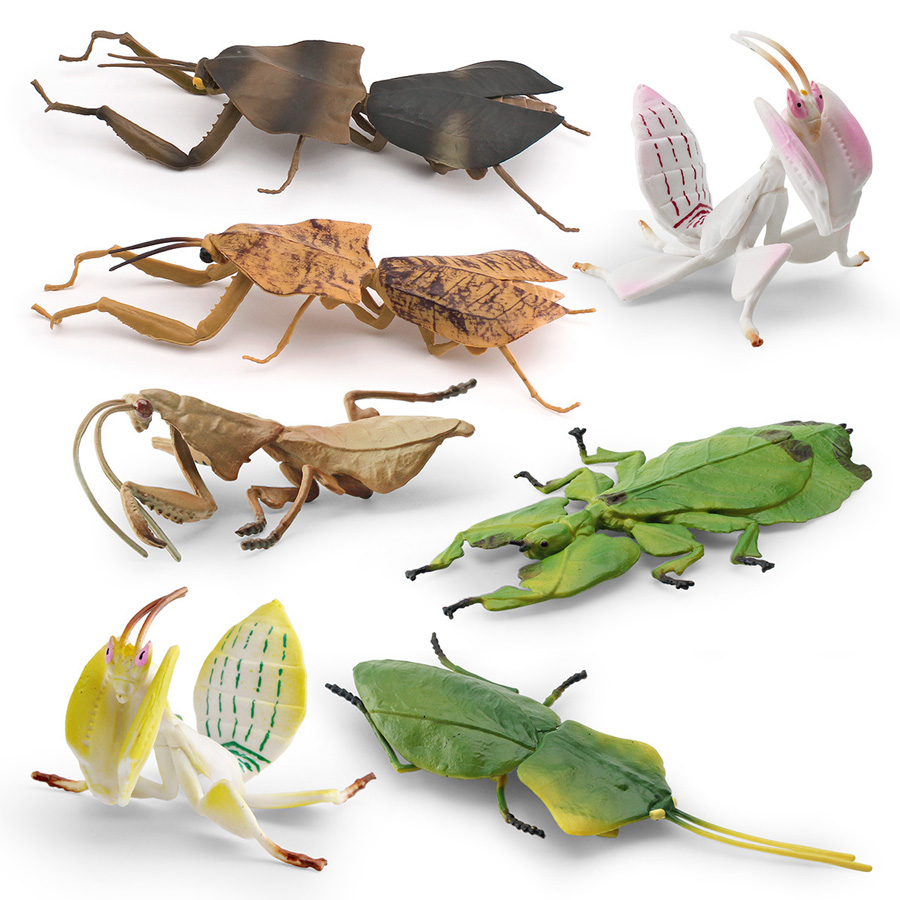 Modelo Realista de Mantis Orqu - Kids Educational Game avaliação e preço