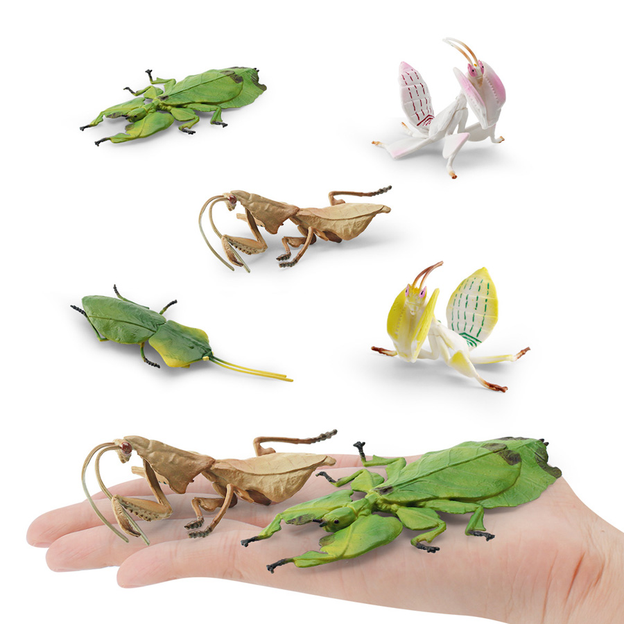 Modelo Realista de Mantis Orqu - Kids Educational Game avaliação e preço